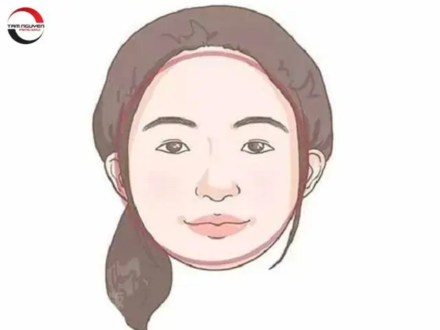 Tướng Mặt Tròn Nữ