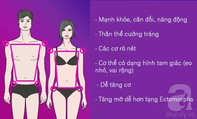 Tướng Mình Đúc Là Gì