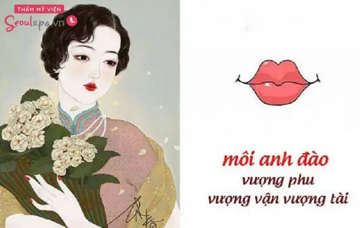 Tướng Môi Anh Đào Nữ
