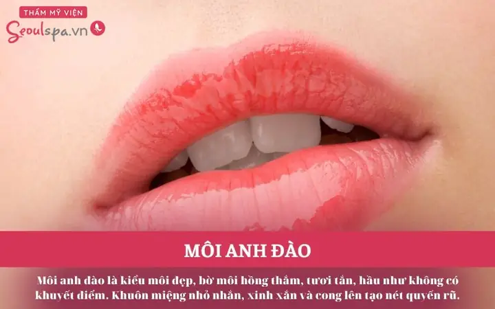 Tướng Môi Anh Đào Nữ