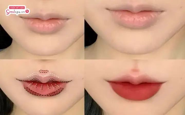 Tướng Môi Chữ M Tướng Môi Chữ M