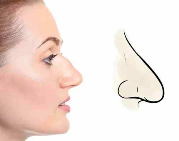 Tướng Mũi Diều Hâu Nam