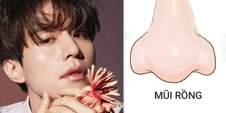 Tướng Mũi Không Nên Sửa