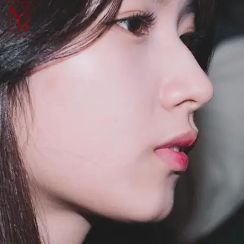 Tướng Mũi To Nam