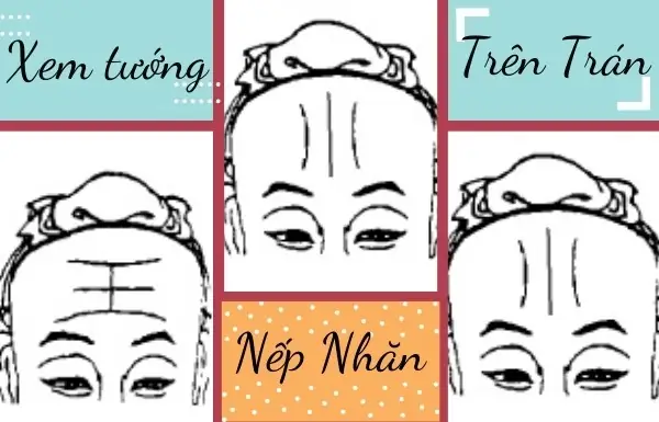 Tướng Nếp Nhăn Trên Trán Phụ Nữ