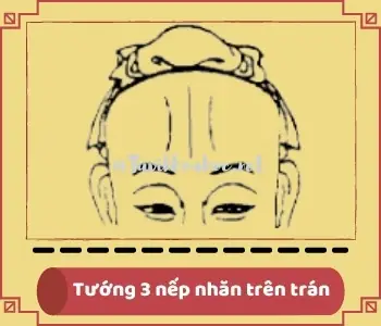 Tướng Nếp Nhăn Trên Trán Phụ Nữ