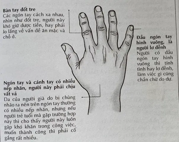 Tướng Người Có Cánh Tay Dài