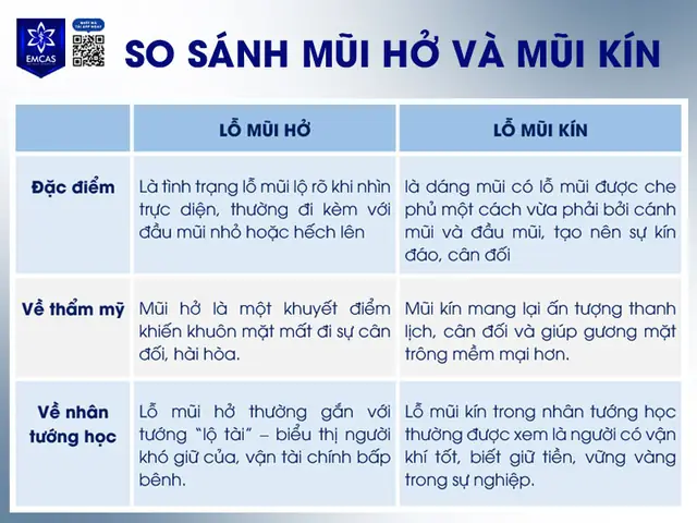 Tướng Người Có Lỗ Mũi Nhỏ