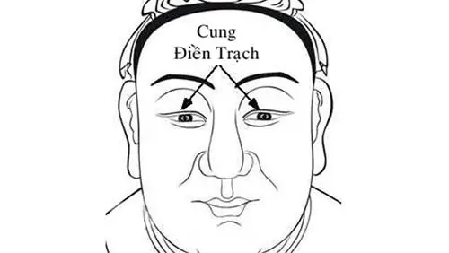 Tướng Người Có Lộc Buôn Bán