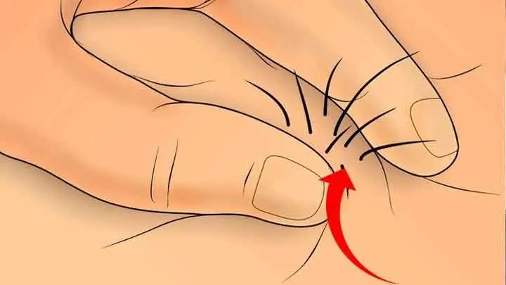 Tướng Người Có Lông Ở Hậu Môn