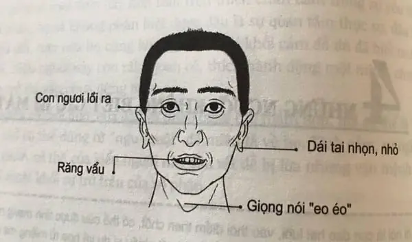 Tướng Người Hung Dữ