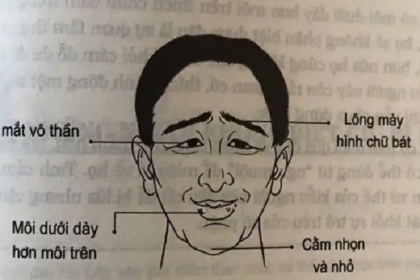Tướng Người Lười Biếng Tướng Người Lười Biếng