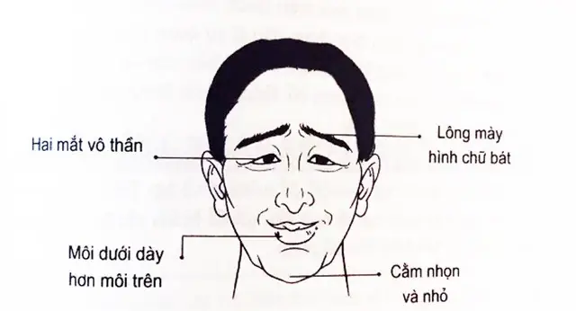Tướng Người Lười Biếng Tướng Người Lười Biếng