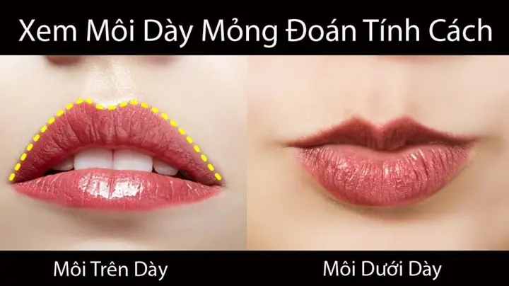 Tướng Người Môi Trên Ngắn
