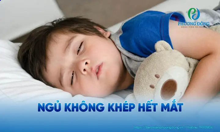 Tướng Người Ngủ Mắt Nhắm Không Hết Tướng Người Ngủ Mắt Nhắm Không Hết