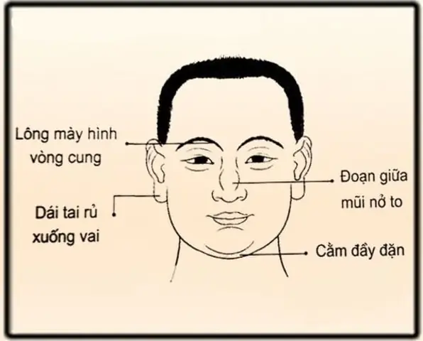 Tướng Người Phúc Hậu Tướng Người Phúc Hậu