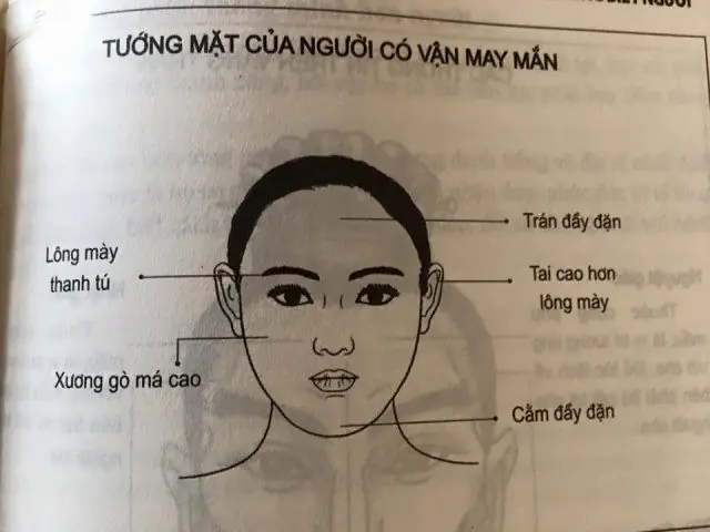 Tướng Phụ Nữ Có Quý Nhân Phù Trợ Tướng Phụ Nữ Có Quý Nhân Phù Trợ