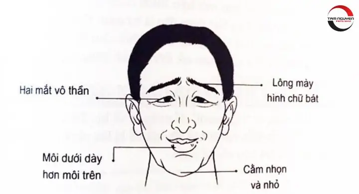 Tướng Phụ Nữ Có Số Xuất Ngoại