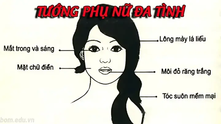 Tướng Phụ Nữ Đa Tình