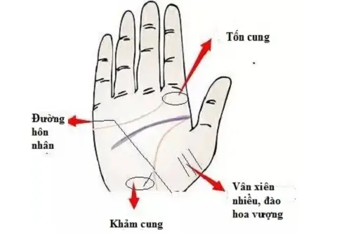 Tướng Phụ Nữ Đào Hoa Tướng Phụ Nữ Đào Hoa