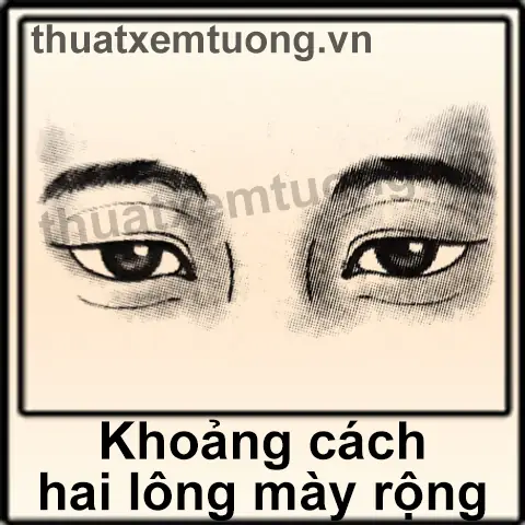 Tướng Phụ Nữ Lông Mày Cách Xa Nhau Tướng Phụ Nữ Lông Mày Cách Xa Nhau