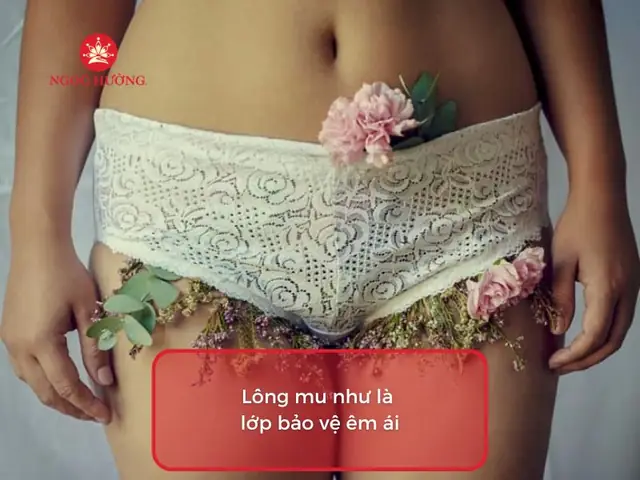 Tướng Phụ Nữ Lông Mu It Tướng Phụ Nữ Lông Mu It
