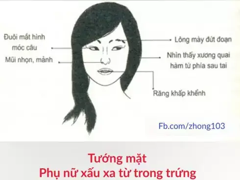 Tướng Phụ Nữ Mặt Mỏng