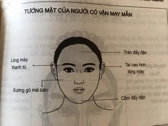 Tướng Phụ Nữ Mặt Thịt