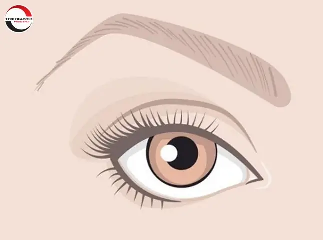 Tướng Phụ Nữ Thích Ngoại Tình Tướng Phụ Nữ Thích Ngoại Tình
