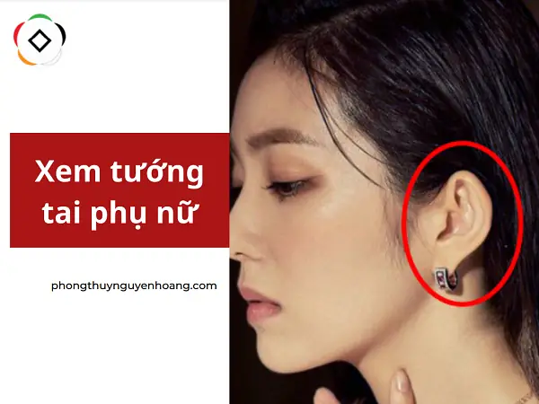 Tướng Phụ Nữ Thông Minh Đã Tài Giàu Có Tướng Phụ Nữ Thông Minh Đã Tài Giàu Có