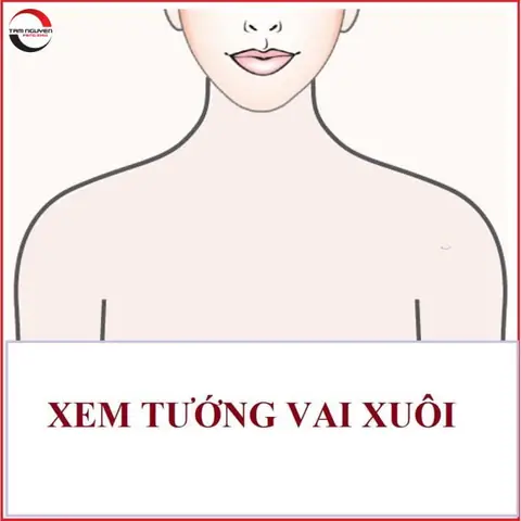 Tướng Phụ Nữ Vai Ngang