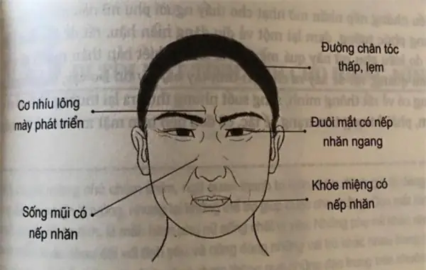 Tướng Phụ Nữ Vất Vả