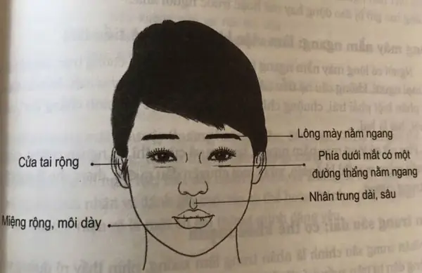 Tướng Phụ Nữ Vô Mao Tướng Phụ Nữ Vô Mao
