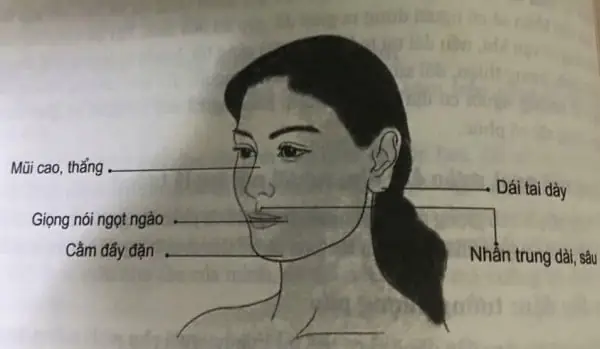 Tướng Phú Quý Của Phụ Nữ
