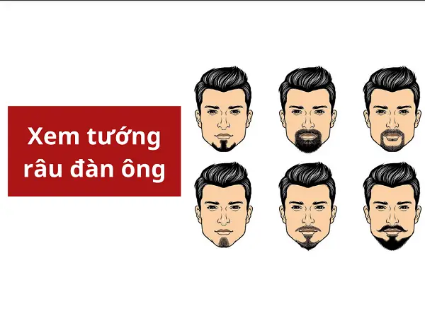 Tướng Râu Đàn Ông Tướng Râu Đàn Ông