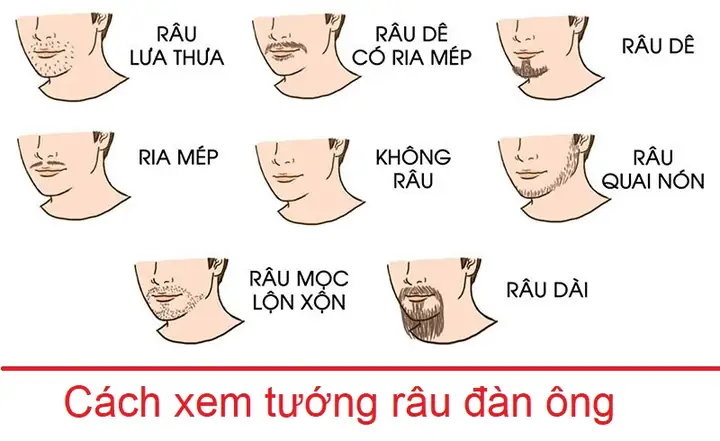 Tướng Râu Tiểu Nhân Tướng Râu Tiểu Nhân