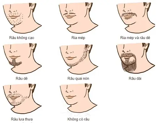 Tướng Râu Tiểu Nhân Tướng Râu Tiểu Nhân