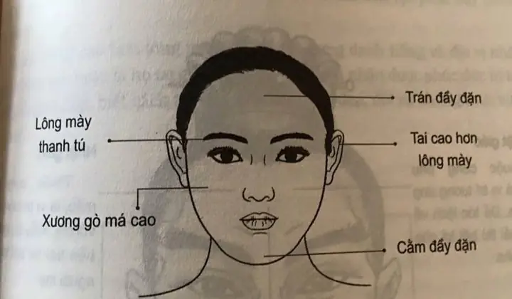 Tướng Sát Phu Là Gì