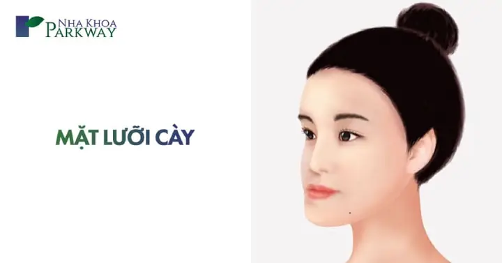 Tướng Số Người Mặt Lưỡi Cày