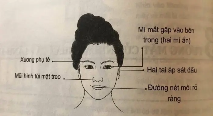Tướng Tai Áp Sát Đầu Nữ