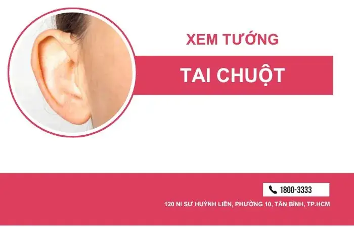 Tướng Tai Chuột Nữ Tướng Tai Chuột Nữ