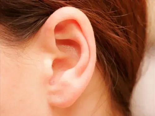 Tướng Tai Chuột Nữ Tướng Tai Chuột Nữ