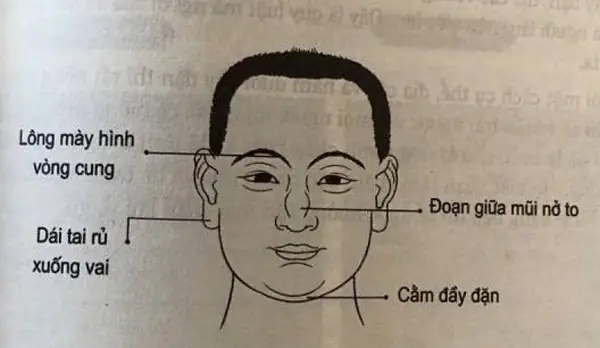 Tướng Tai Đàn Ông Giàu Có Tướng Tai Đàn Ông Giàu Có