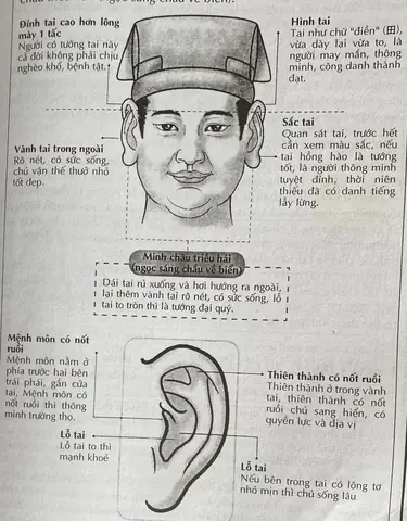 Tướng Tai Lật Vành Nam