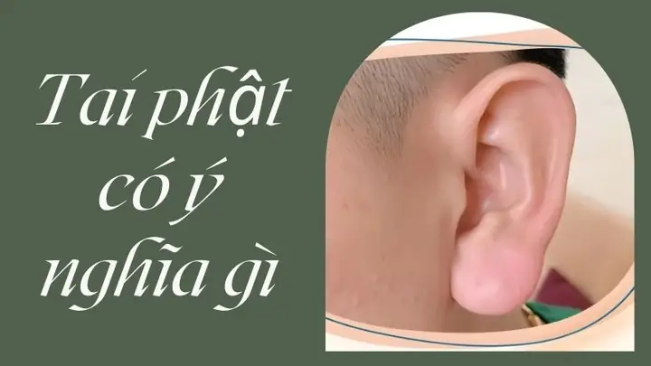 Tướng Tai Phật