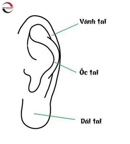 Tướng Tai Phụ Nữ Giàu Có