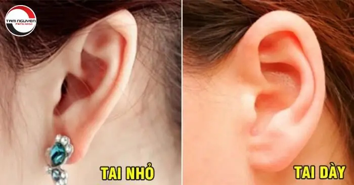 Tướng Tai Phụ Nữ Giàu Có