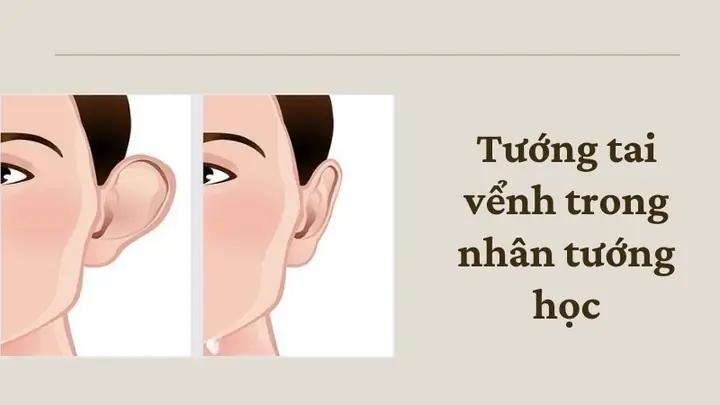Tướng Tai Vểnh Tướng Tai Vểnh