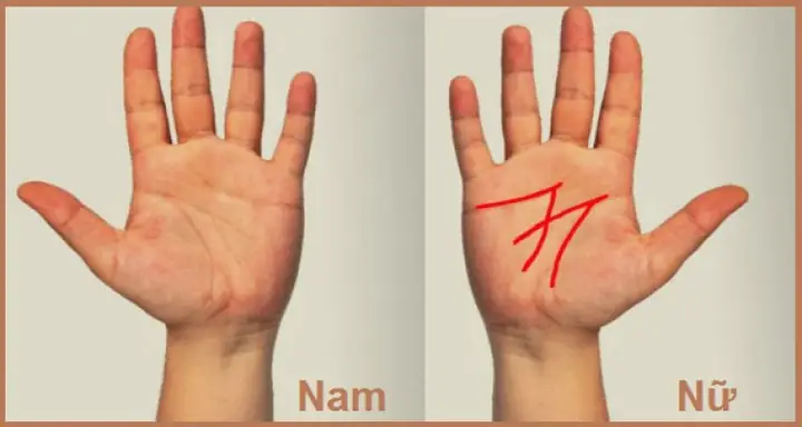 Tướng Tay Chữ M Tướng Tay Chữ M