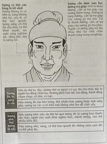 Tướng Tay Có Nhiều Đặc Điểm Tốt